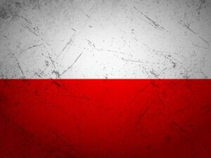 Popularność MMA w Polsce rośnie w zawrotnym tempie